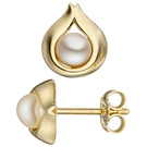 Ohrstecker Tropfen 333 Gold Gelbgold 2 Swasser Perlen Ohrringe