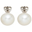 Ohrstecker 925 Sterling Silber 2 Süßwasser Perlen Ohrringe Perlenohrstecker