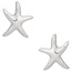 Ohrstecker Seestern 925 Sterling Silber rhodiniert Ohrringe Silberohrstecker