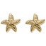 Ohrstecker Seestern 585 Gold Gelbgold Ohrringe Goldohrringe Goldohrstecker