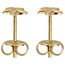 Ohrstecker Seestern 585 Gold Gelbgold Ohrringe Goldohrringe Goldohrstecker