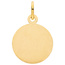 Anhänger Sternzeichen Waage rund 333 Gold Gelbgold matt