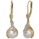 SWZP-Boutons 585/-G 0,02ct    