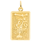 Anhänger Sternzeichen Krebs eckig 333 Gold Gelbgold matt