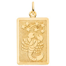 Anhänger Sternzeichen Skorpion eckig 333 Gold Gelbgold matt