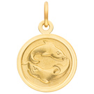 Anhänger Sternzeichen Fische rund 333 Gold Gelbgold matt